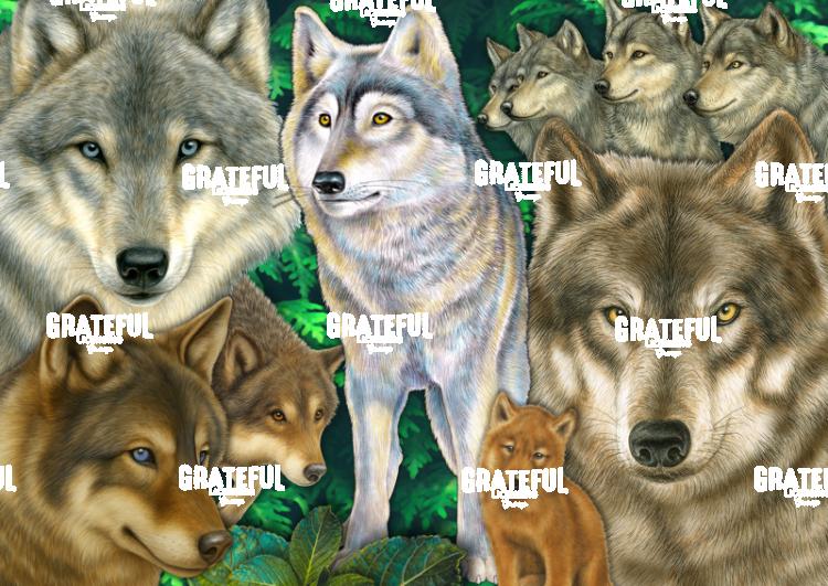 Wolves Collage