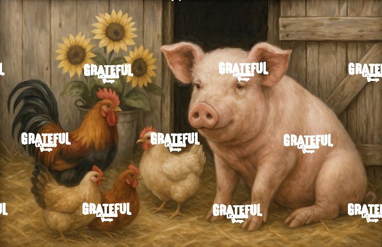Pig Chickens 1