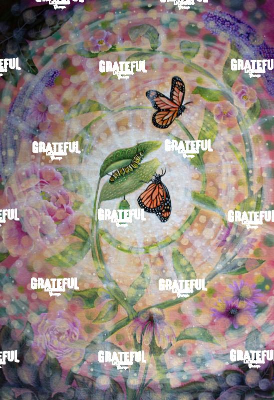 Metamorphosis