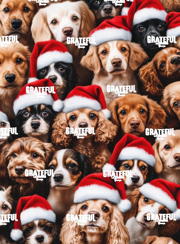 Dogs in Santa Hats