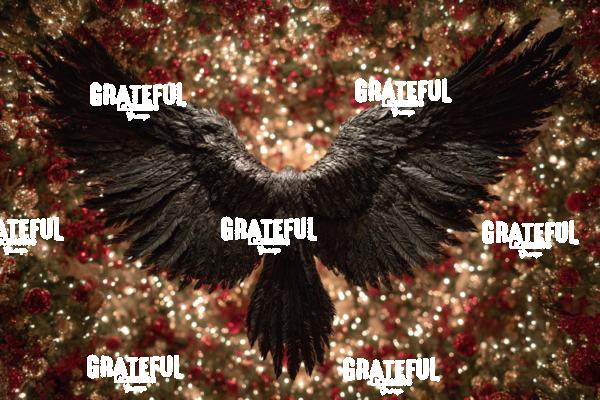 Christmas Crow