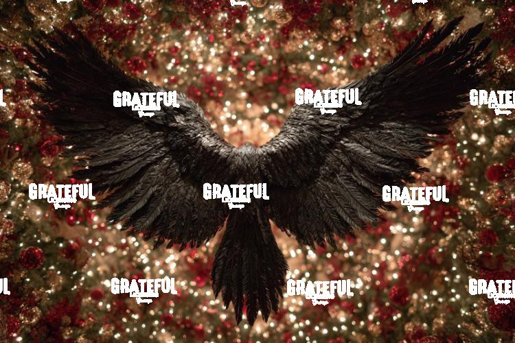 Christmas Crow