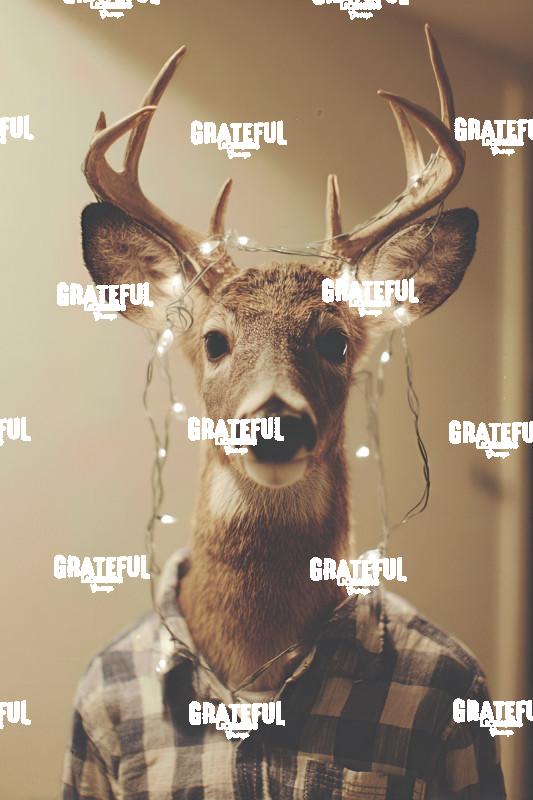 Deer Man with Lights