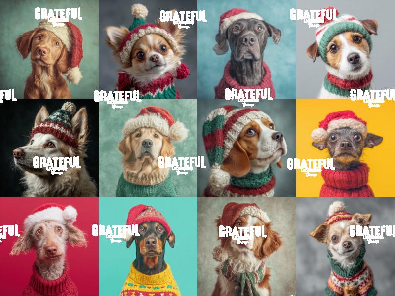 Christmas Dogs Horizontal 1