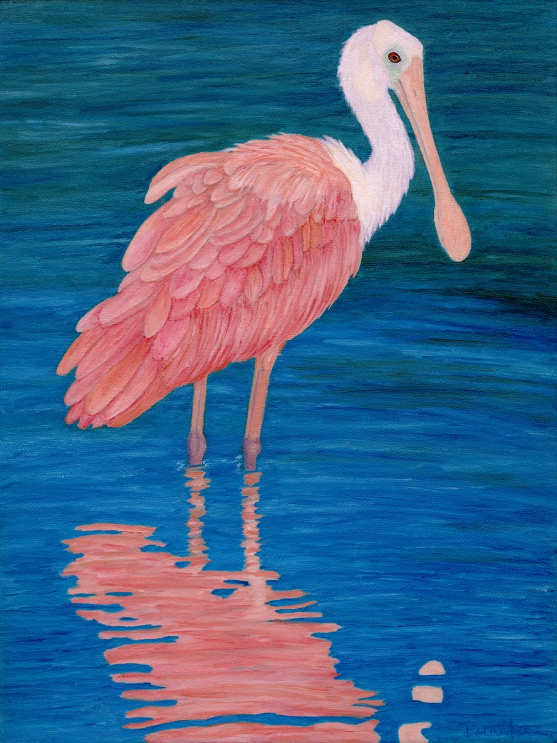 Barbara Fallenbaum art licensing