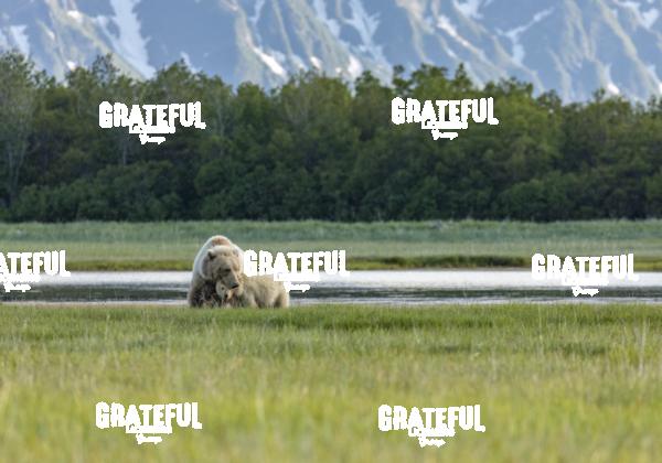 Grazing by the River 1-2