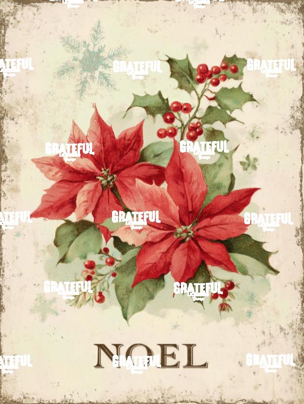 Noel, Holly and Poinsettia Vintage