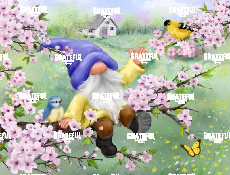 Spring Gnome on Branch