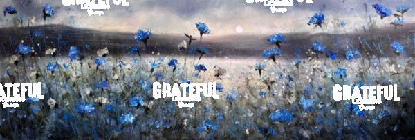 Cornflowers Under Moonlight 2025.
