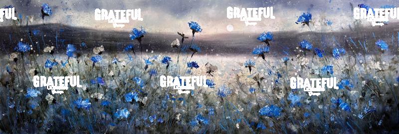 Cornflowers Under Moonlight 2025.