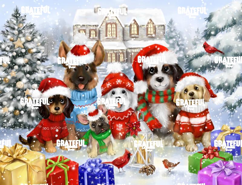 Merry Christmas Friends