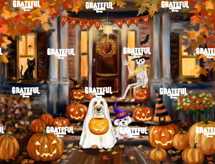 Halloween Spooky House