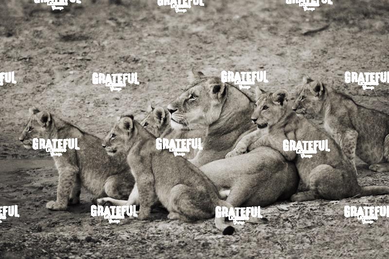 hanging with mommy in Kenya