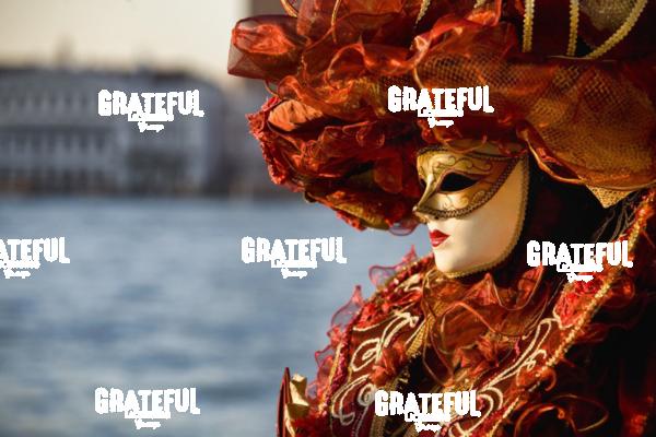 Carnivale in Venice 7