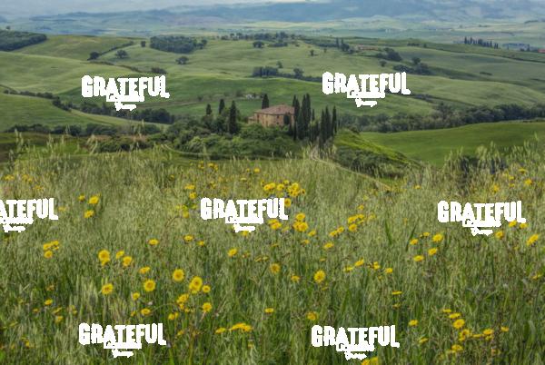 Belvedere in Tuscany Italy 5
