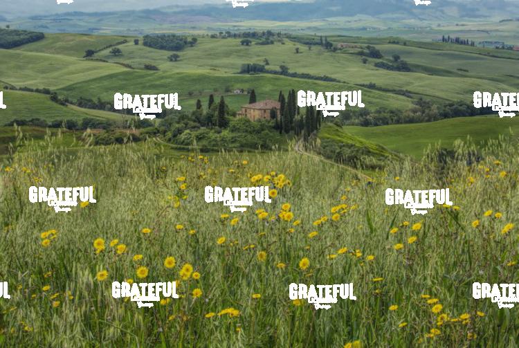 Belvedere in Tuscany Italy 5