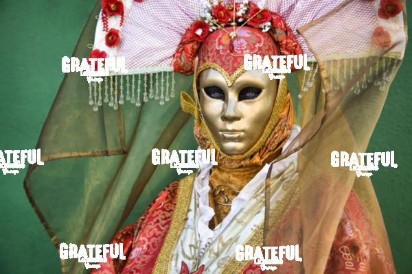 Carnivale in Venice 9
