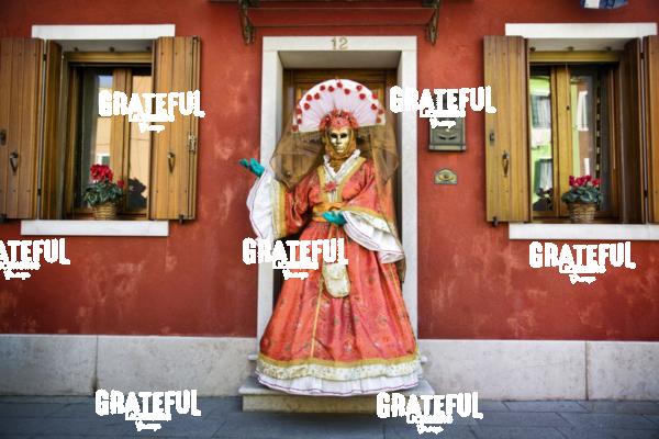 Carnivale in Venice 8