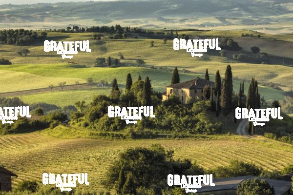 Belvedere in Tuscany Italy 6