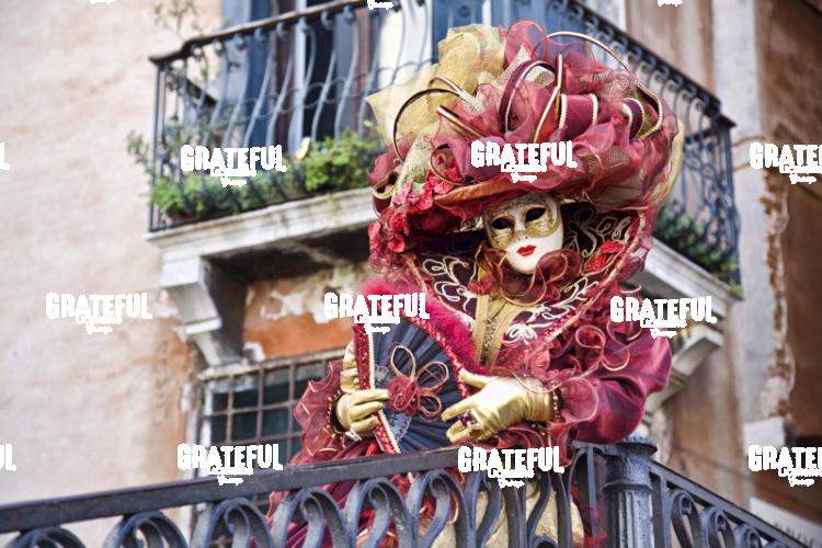 Carnivale in Venice 28