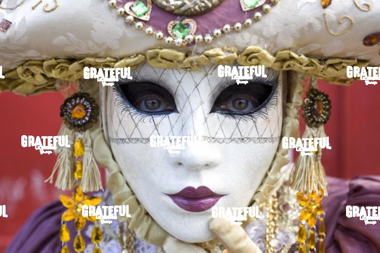 Carnivale in Venice 14