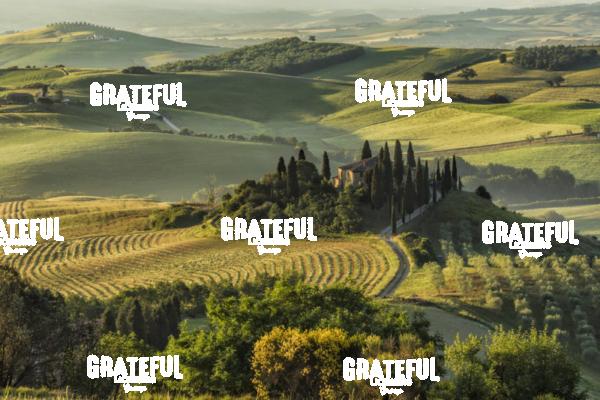Belvedere in Tuscany Italy 5