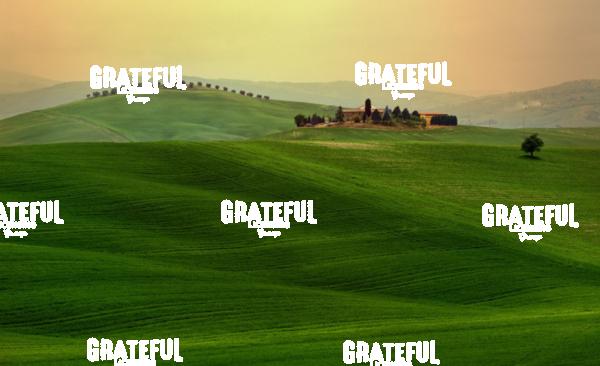 Green Grass of Tuscany