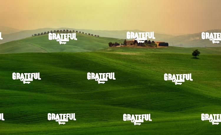 Green Grass of Tuscany