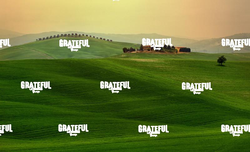 Green Grass of Tuscany