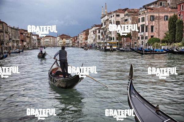 Gondolas in the Grand Canal in Venice