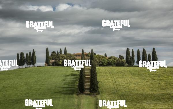 Gladiator home in Tuscany 2