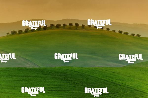 Green fields of Tuscany