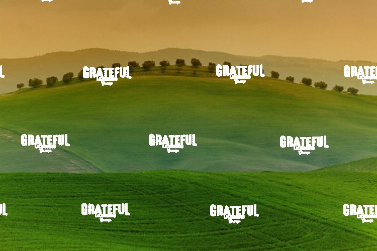 Green fields of Tuscany