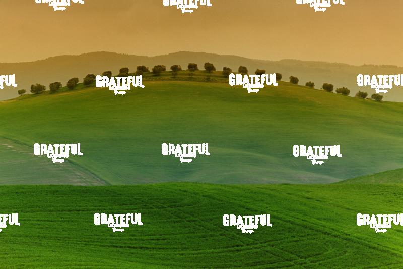 Green fields of Tuscany