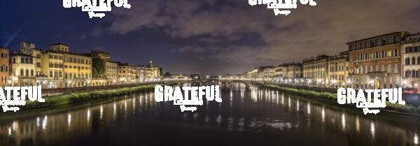 Florence Panorama