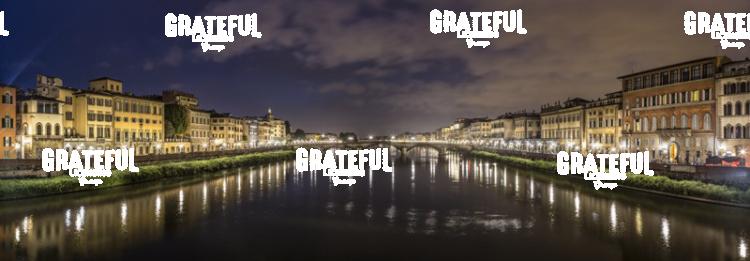 Florence Panorama