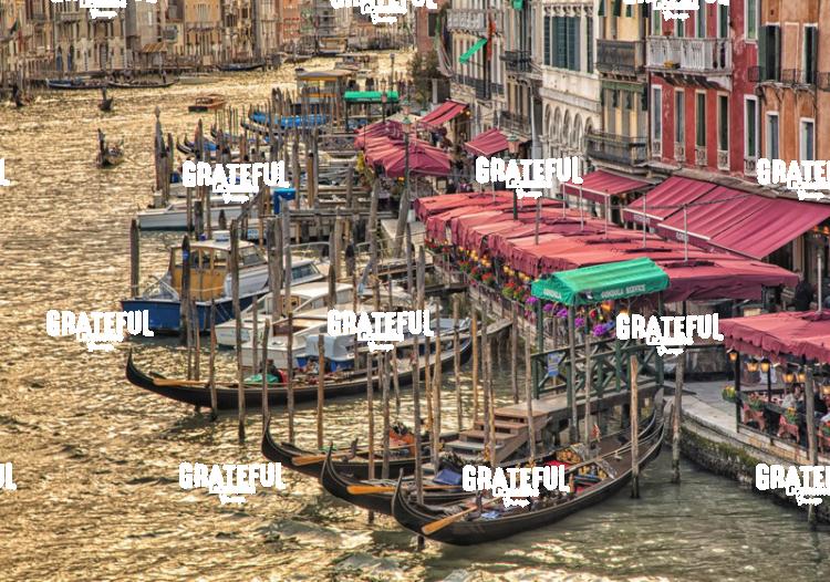 Gondolas in Venice Italy