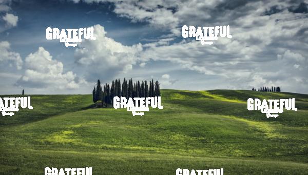 Cypress Grove in Val Dorcia Tuscany