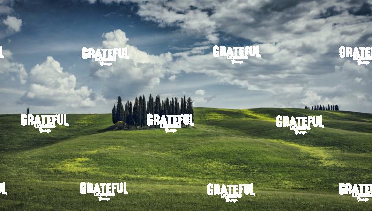 Cypress Grove in Val Dorcia Tuscany