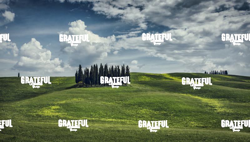 Cypress Grove in Val Dorcia Tuscany