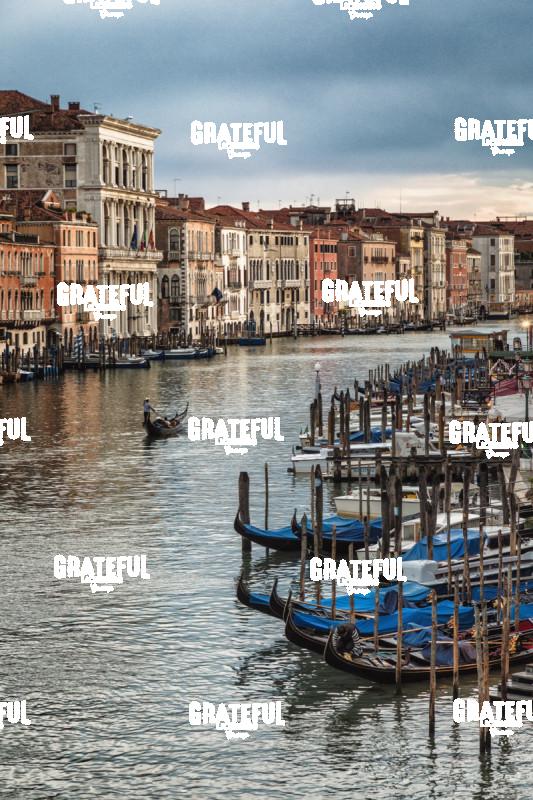 Gondolas in the Grand Canal Venice Italy