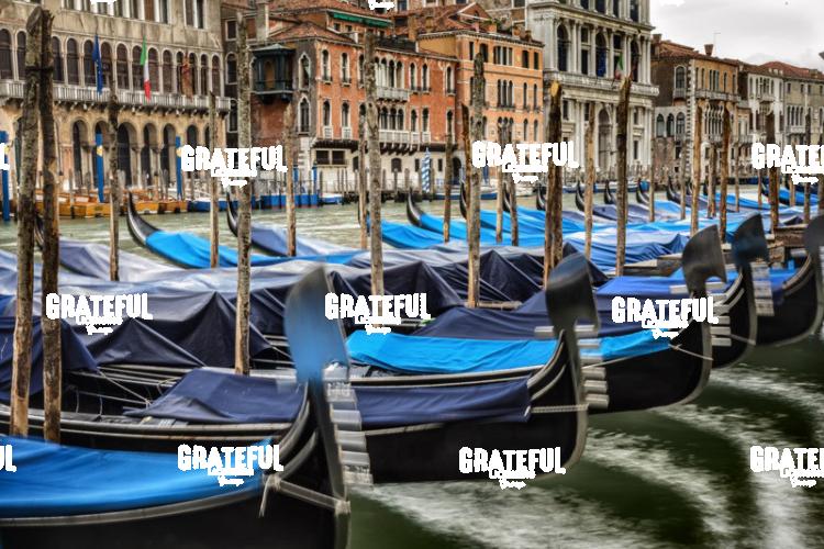Gondolas in the Grand Canal