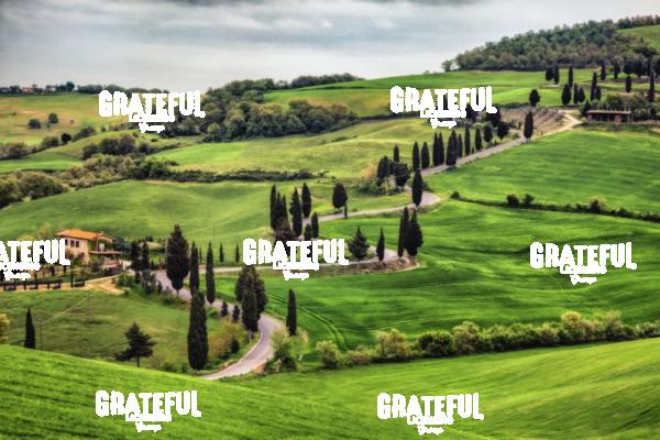 Monticello in Tuscany 2