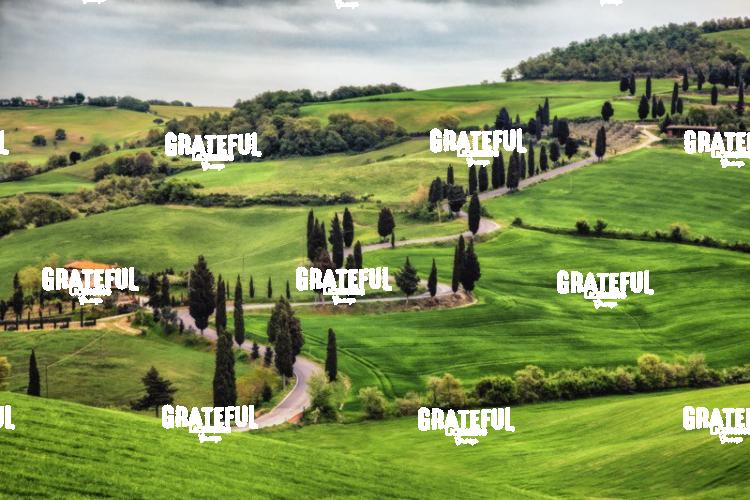 Monticello in Tuscany 2