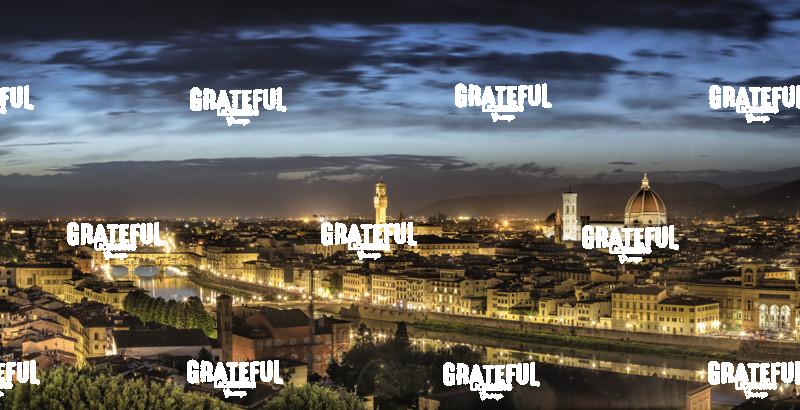 Michaelangelo Piazza Panorama