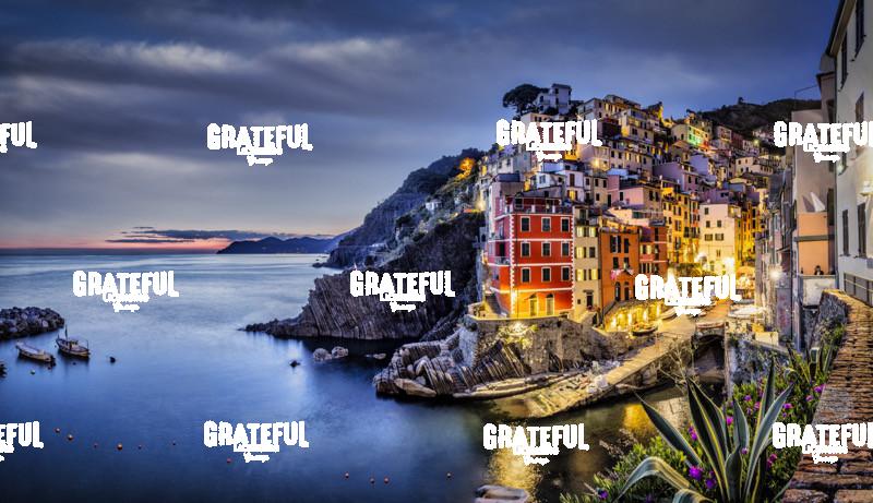 Panorama of RIomaggiore in the Cinque Terre