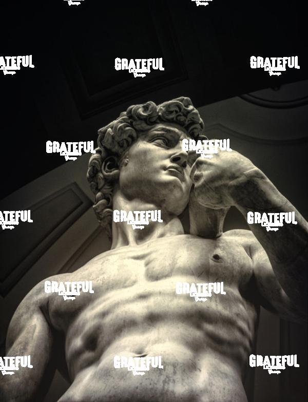 Michaelangelo's David in Florence Italy