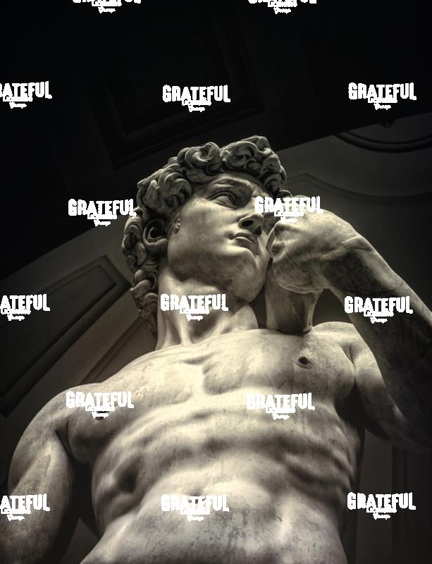 Michaelangelo's David in Florence Italy