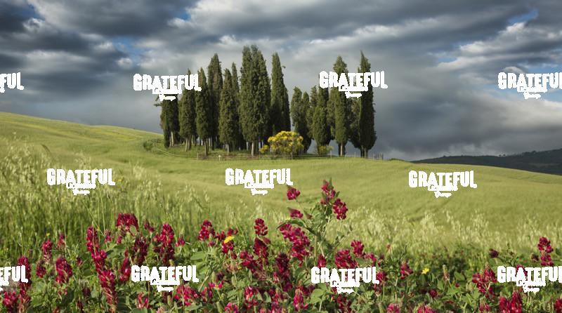 The Cypress grove in Val Dorcia Tuscany