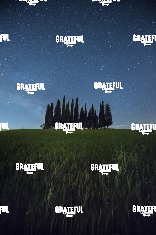The Cypress Grove in Tuscany after dark